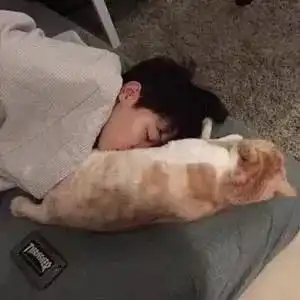 男女生头像