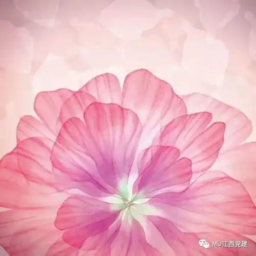 东航江西文明创建十二载处处盛开多彩花