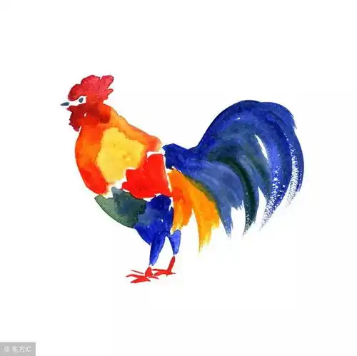 必发鸡,九月的这次看看你是真必发了,你家有吗