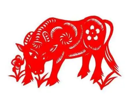 2019年这六大生肖运势预测