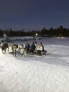 冰天雪地的俄罗斯圣诞之旅