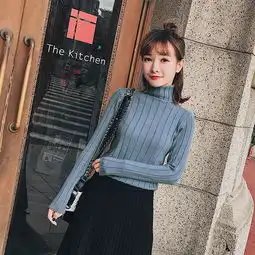 2017秋冬新款韩版女装高领长袖针织衫打底衫毛衣