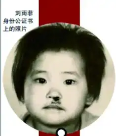 荷兰华人女孩寻找亲生父母