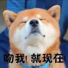 血淋淋的学员实例告诉你面试前准备这些是没有用的