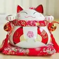 七六年属龙女微信头像微信头像图片大全