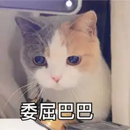 天秤座怎么会有男朋友