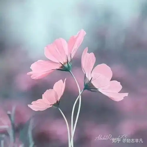 人,一定要懂得拐弯