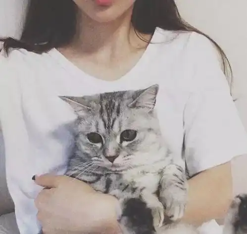 为什么女生,更爱养猫不养狗这几点大概是原因