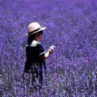 古代美女大玉儿头像微信头像图片大全