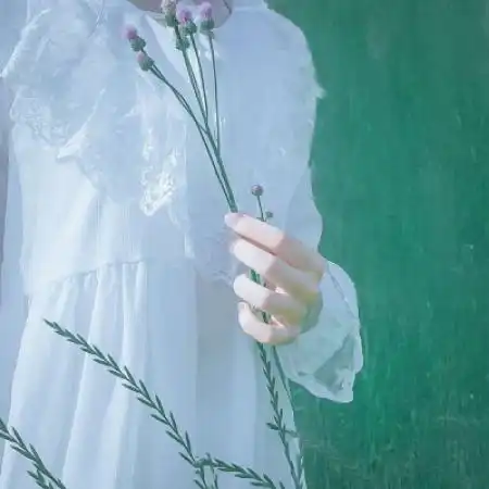 小清新部位女头森系,穿白纱裙的仙女