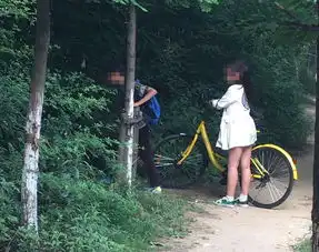 马鞍山人,12岁男孩骑小黄车玩漂移摔倒身亡