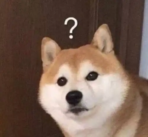 管好你的狗