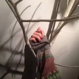 朋友圈背景丨一切如约而至