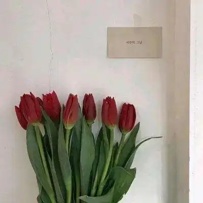 hg00111,app