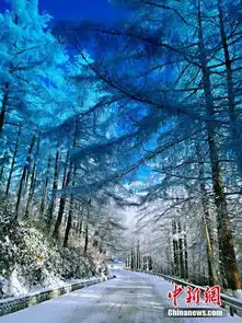 湖北现林海雪原银装素裹风景如画