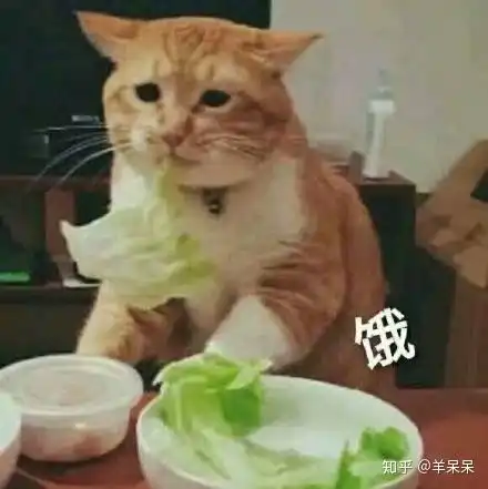 女朋友不我在身边,来大姨妈了,应该怎么哄她