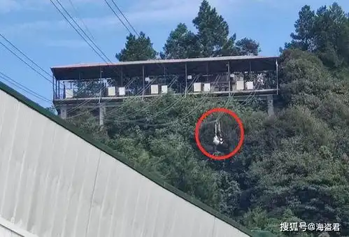 重庆一女子在网红景点坠落身亡,涉事景区曾发生多次人为故障