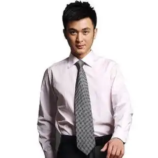 v3man走红职场可圈可点粉色圆点男士免熨正装衬衫怎么样,好不好