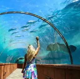 美一女子辞职环游世界成职业旅行达人8277209旅游图片库大视野