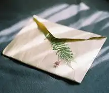 欧美意境头像静物微信头像图片大全