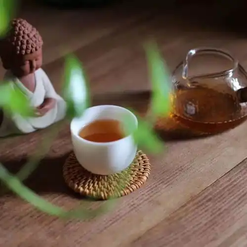 新年伊始,一份来自莫粉的祝福