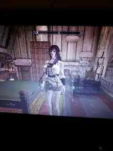 谁有上古卷轴5随从mod给我来两三个要最漂亮的发给我的时候请连随从mod图片发给我求大
