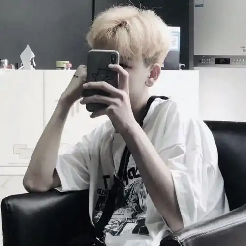 挡脸男