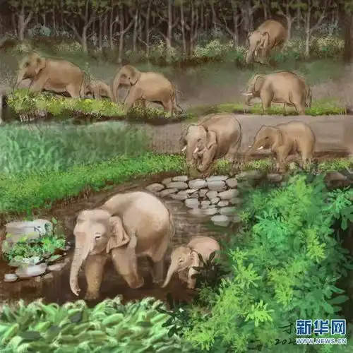 可可爱爱精美手绘定格云南北移亚洲象群名场面