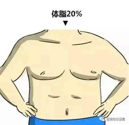 体脂减到多少才能露出腹肌人鱼马甲线怎么练