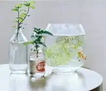 看淡一切释然的图片微信头像图片大全