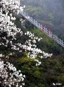好消息不仅女性朋友享免门票福利,河南多地景点本周起对男性也半价