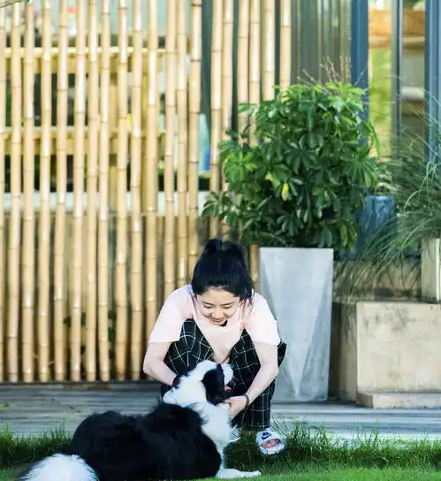 谭松韵录节目好接地气,t恤格纹裤穿成55分,咋一看更像小女生
