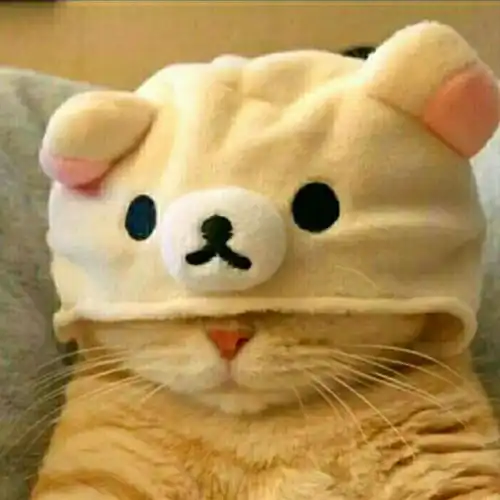这张图是情侣头像吗