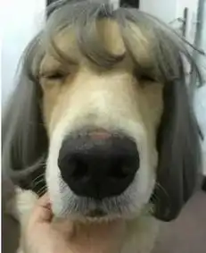 毛骨悚然有一种恐怖,叫你条女嘅买家秀