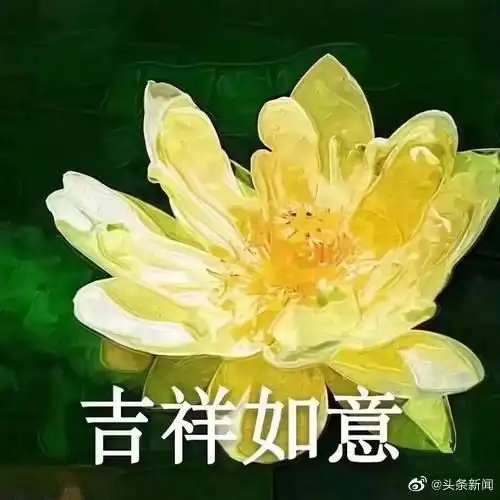 每日轻松一刻妈妈是世界上最难的岗位