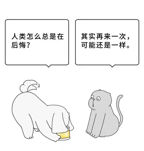 大彻大悟的五大死前遗憾,可能是谎言每日罐头
