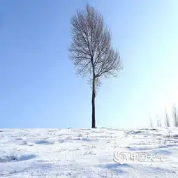 哈尔滨天恒山雪后银装素裹尽显北国风光