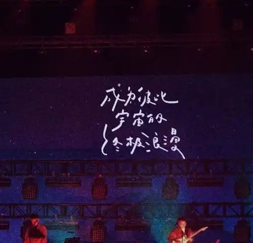 追星女孩专用文案