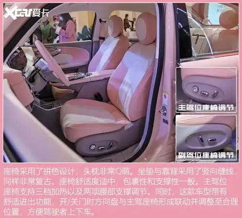 实拍欧拉芭蕾猫,女性专属卖20万你会为它买单吗