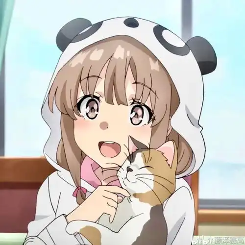 青春猪头少年不会梦到兔女郎学姐剧评