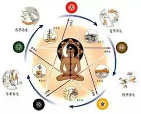 个女人的背頖是男人多大的耻.辱