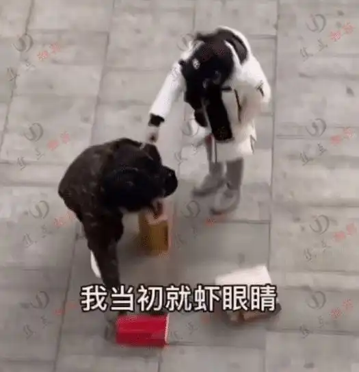 可怜情侣吵架,男子当街被女友羞辱一个月3000工资养不起我