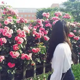 你和我和他之间王子的旋律,