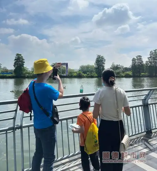 小小城市规划师六一寻宝,建设绿美云路