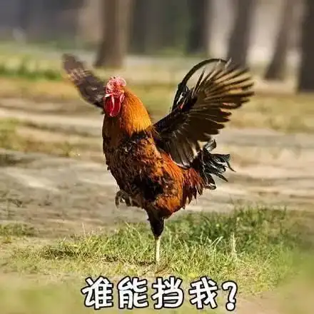 为了不错过这部惊悚片,我们找齐了120个人陪看
