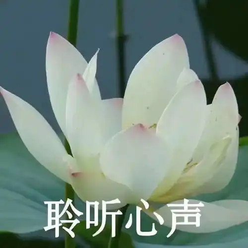如果一个男生喜欢这样跟你聊天,不是娘炮就是喜欢你