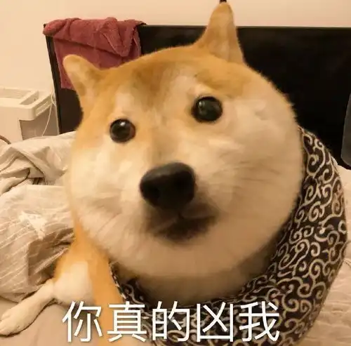 你以为只有你被生活虐待吗狗也是