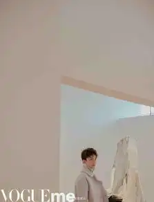 组图吴磊纽约时装周大片曝光光影交错彰显少年成熟气息