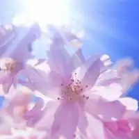 女性招财好运来微信头像图片微信头像图片大全