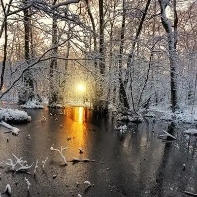 唯美雪景头像,美丽的冬季风光雪景做头像真是不错的